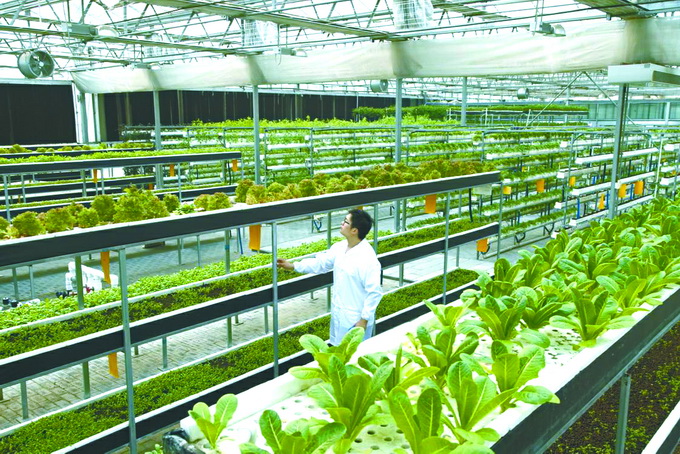 江苏省公共资源交易网