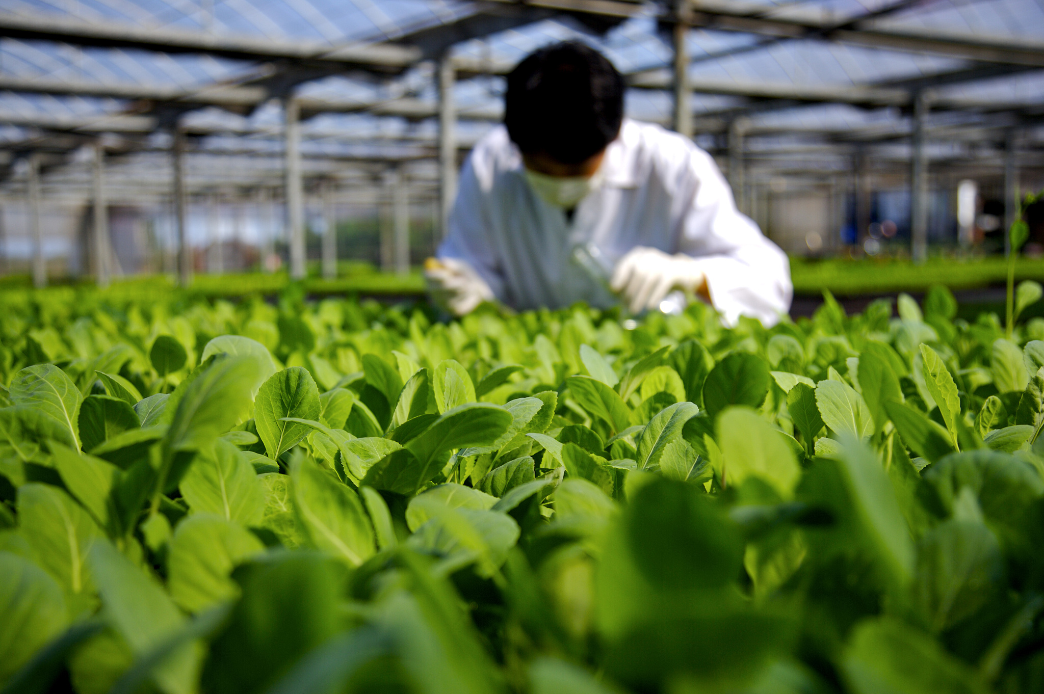 省级基层农技人员培训班陆续开班