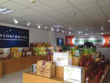 精品视频_电脑频道_天极网